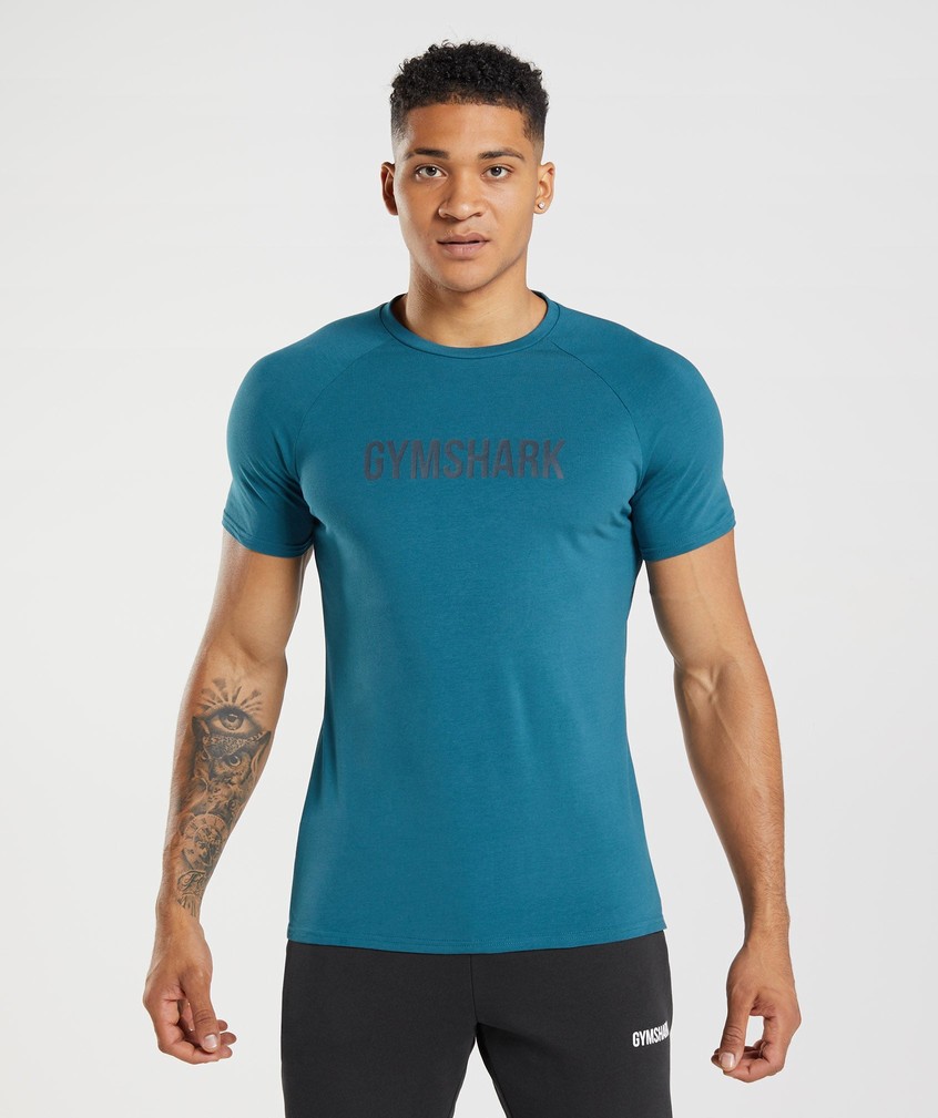 Blue Men's Gymshark Apollo T-Shirts | USA-46380