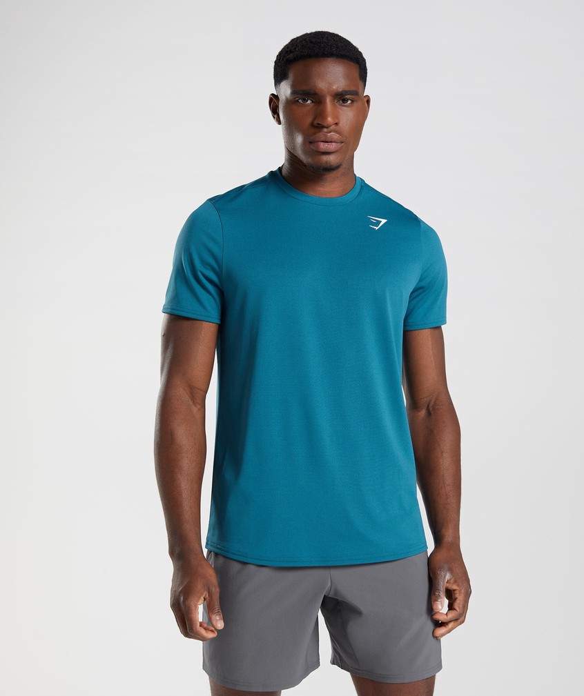 Blue Men's Gymshark Arrival T-Shirts | USA-70859