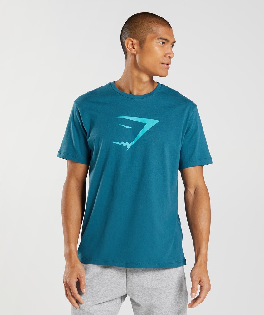 Blue Men's Gymshark Sharkhead Infill T-Shirts | USA-30879