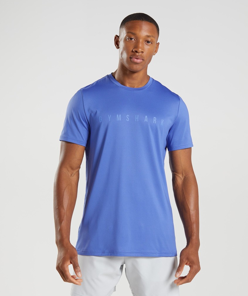 Blue Men's Gymshark Sport Stripe T-Shirts | USA-76235