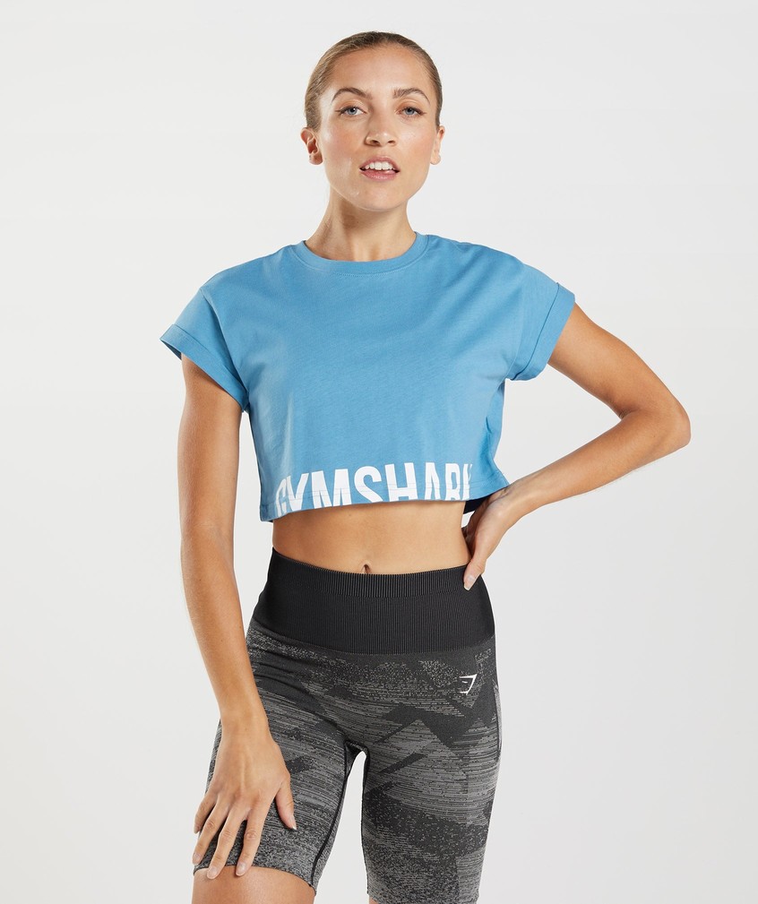 Blue Women's Gymshark Fraction Crop Top T-Shirts | USA-65087