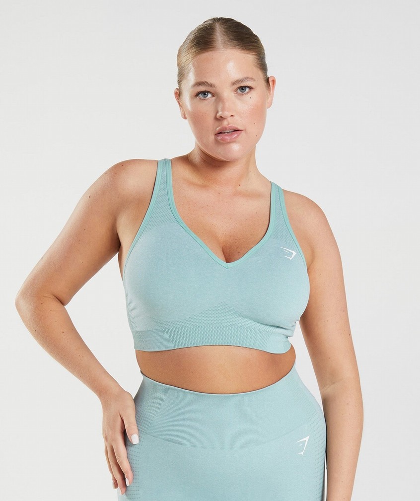 Blue Women's Gymshark Vital Seamless 2.0 V Neck Sports Bra | USA-02417