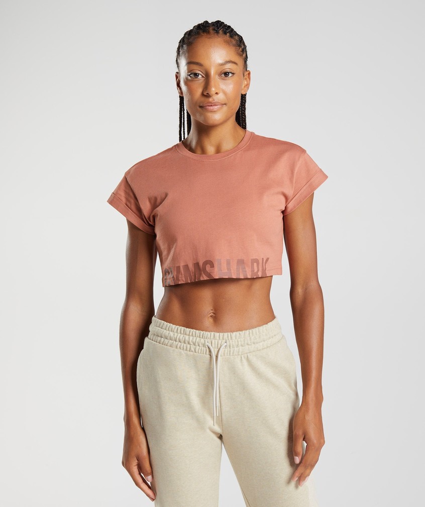 Brown Women's Gymshark Fraction Crop Top T-Shirts | USA-28476