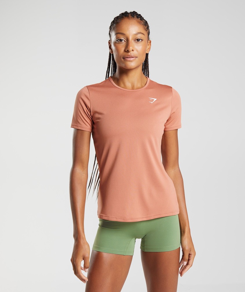 Brown Women's Gymshark Training T-Shirts | USA-82096