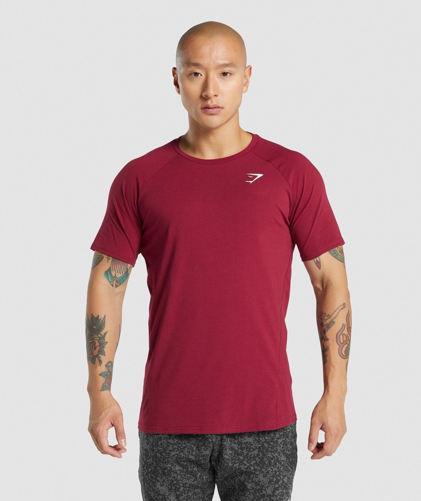 Burgundy Men's Gymshark Critical 2.0 T-Shirts | USA-68104