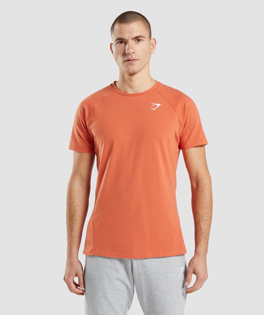 Orange Men's Gymshark Critical T-Shirts | USA-62149