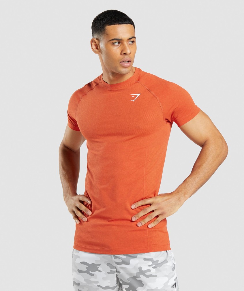 Orange Men's Gymshark Vital Light Seamless T-Shirts | USA-75341