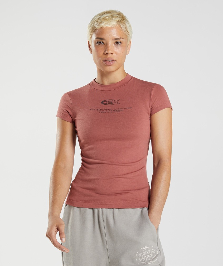 Rose Brown Women's Gymshark GS10 Year Body Fit T-Shirts | USA-39861