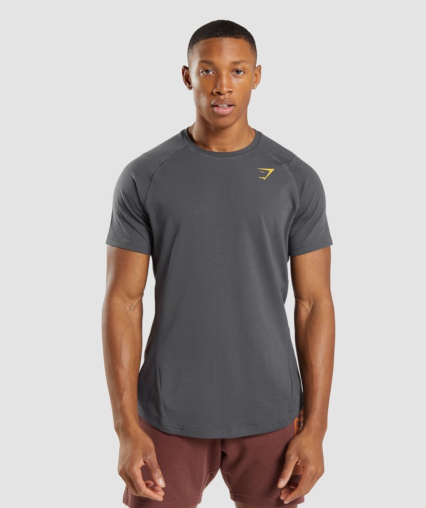 Black Grey Men's Gymshark Bold T-Shirts | USA-01689