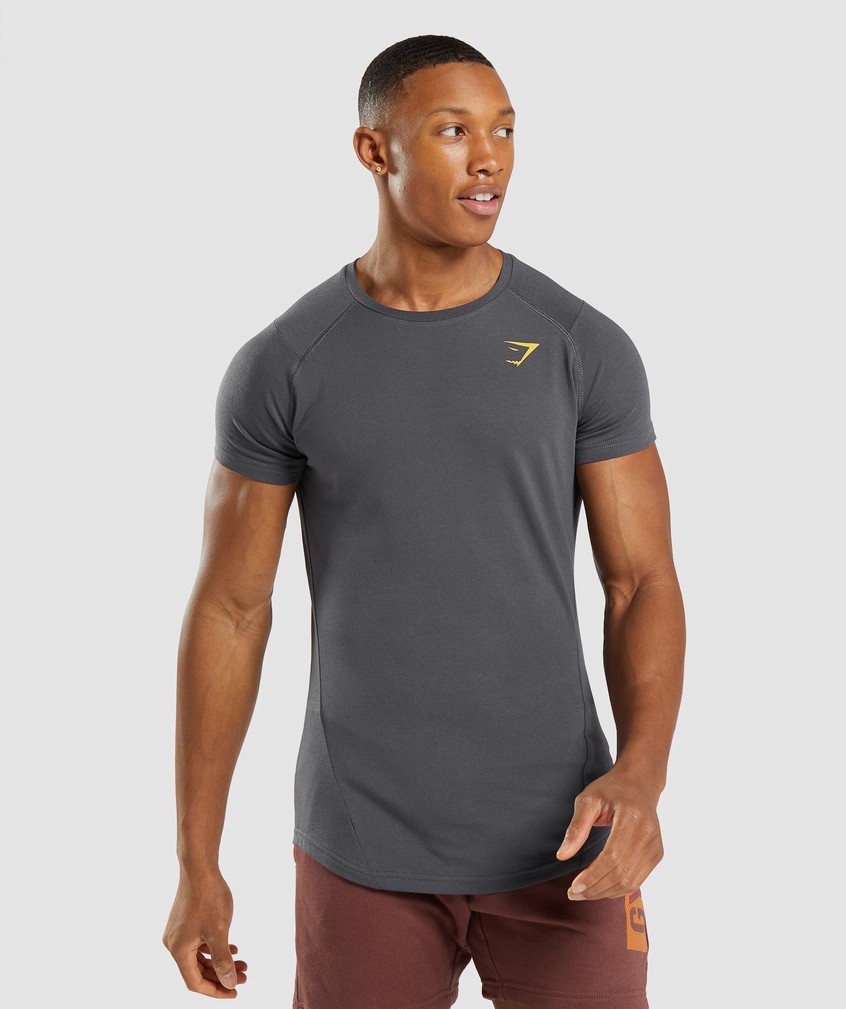 Black Grey Men's Gymshark Bold T-Shirts | USA-80147