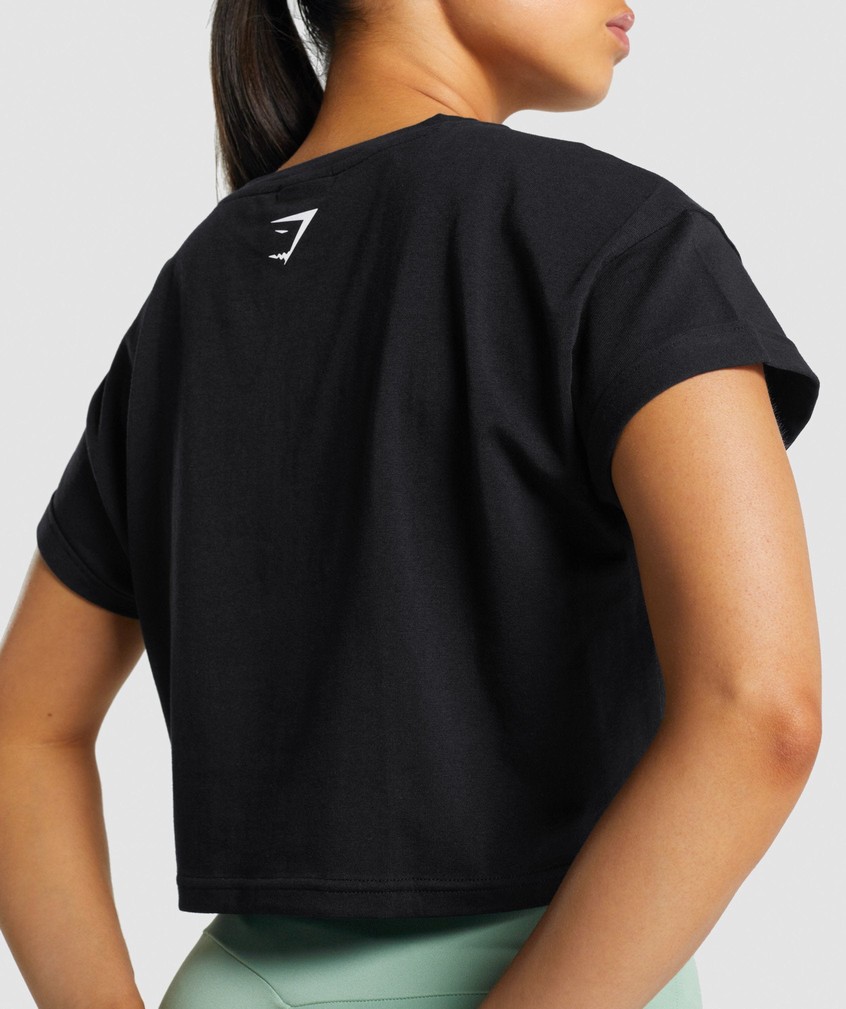 Black Women's Gymshark Fraction Crop Top T-Shirts | USA-40519