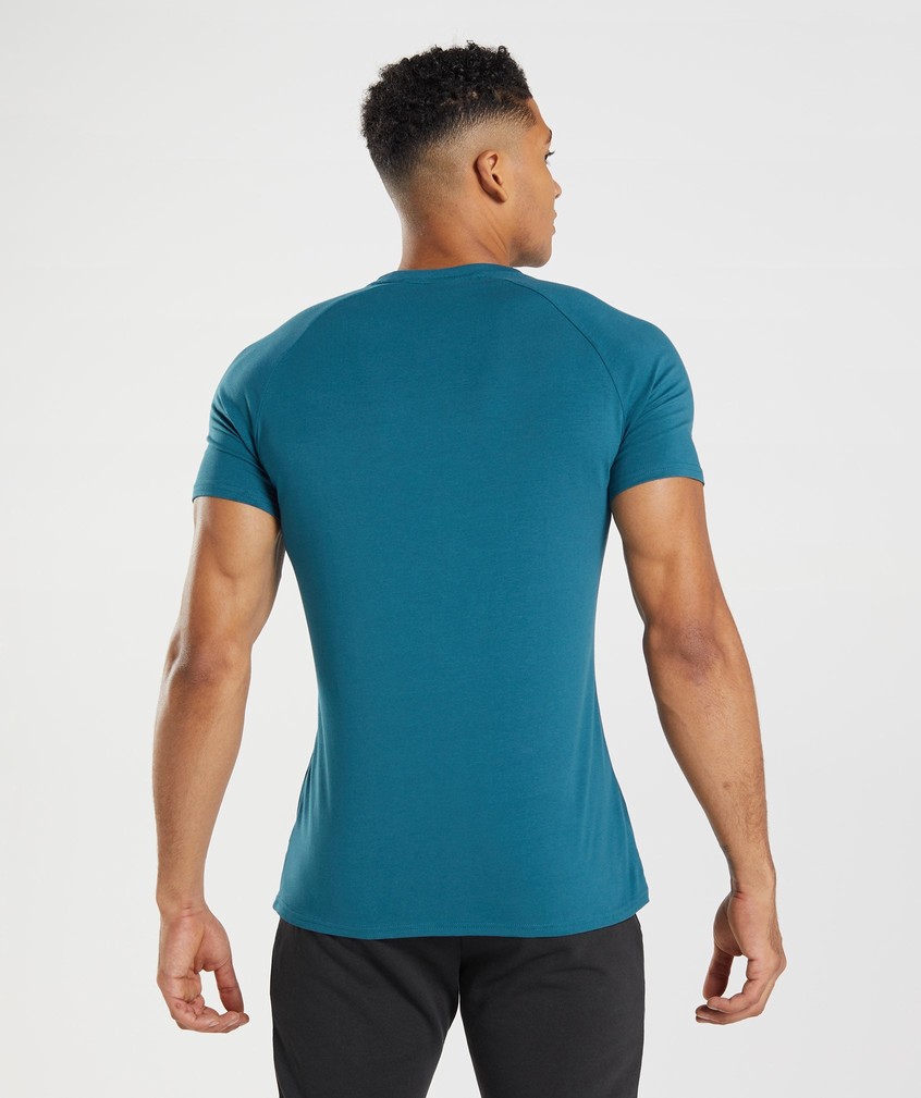 Blue Men's Gymshark Apollo T-Shirts | USA-46380