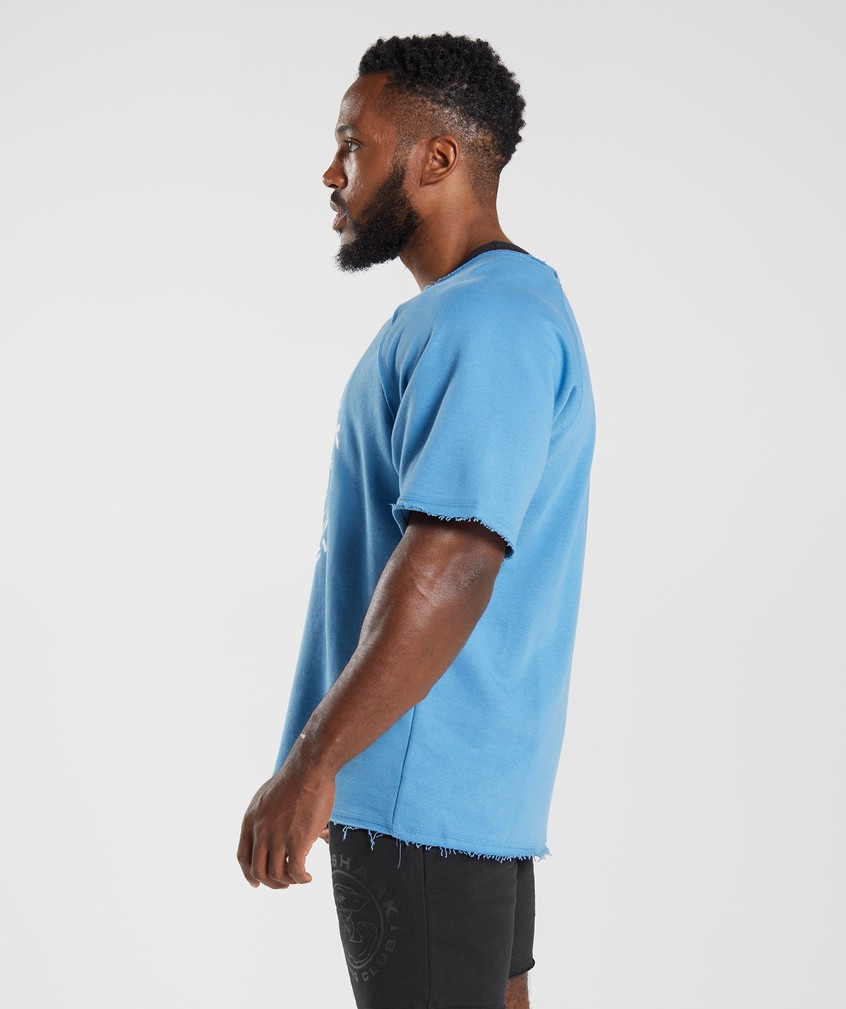 Blue Men's Gymshark Legacy Rag Top T-Shirts | USA-64378