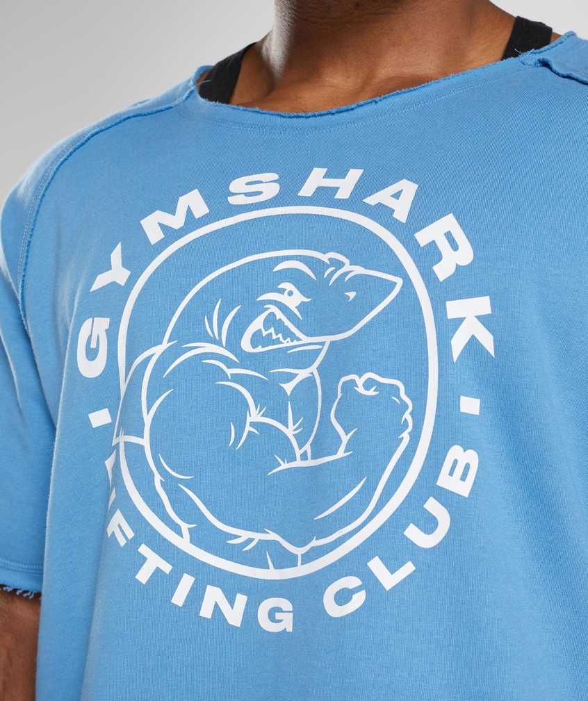 Blue Men's Gymshark Legacy Rag Top T-Shirts | USA-64378