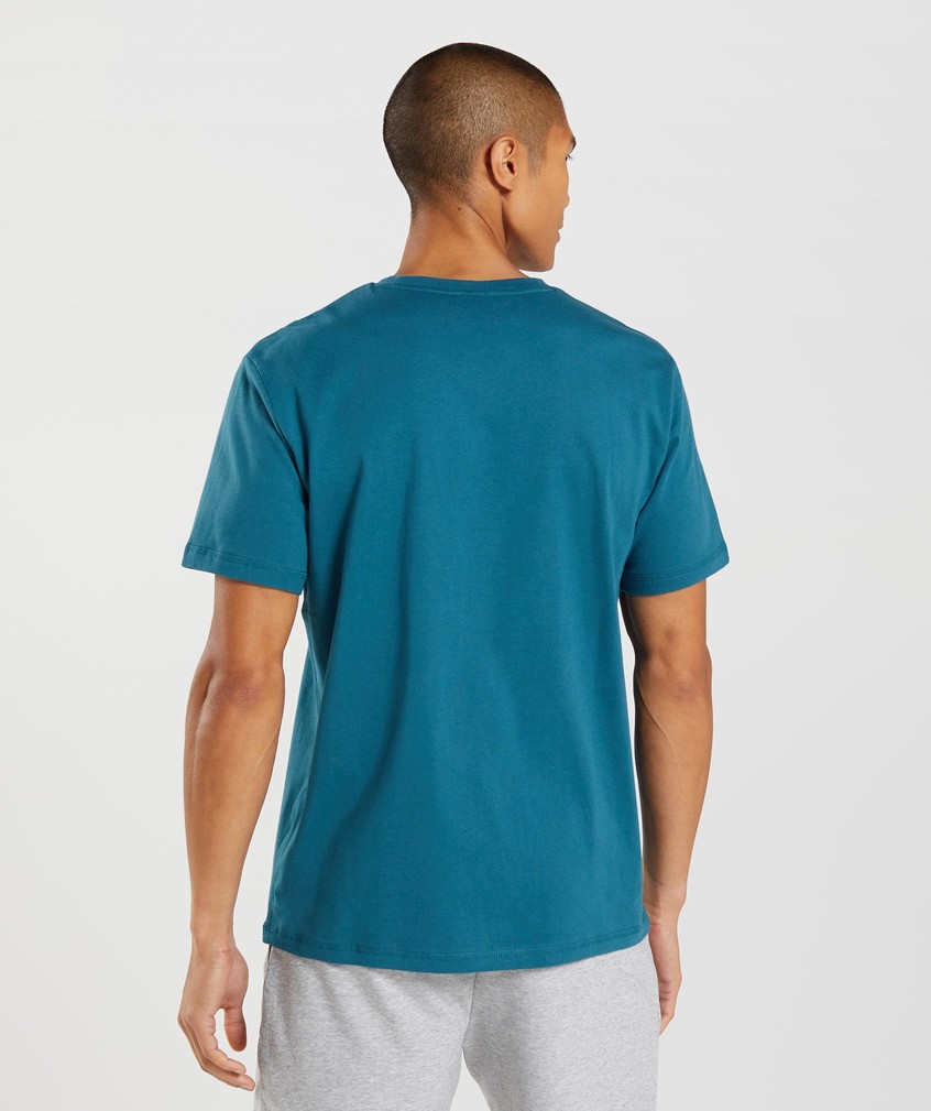 Blue Men's Gymshark Sharkhead Infill T-Shirts | USA-30879