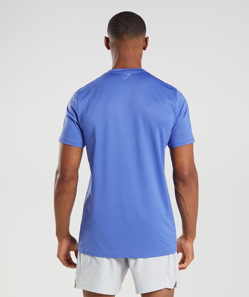 Blue Men's Gymshark Sport Stripe T-Shirts | USA-76235