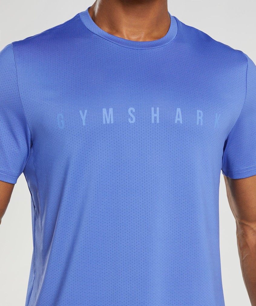 Blue Men's Gymshark Sport Stripe T-Shirts | USA-76235