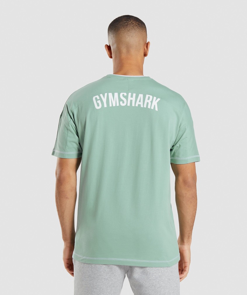 Blue / White Men's Gymshark Recess T-Shirts | USA-63728