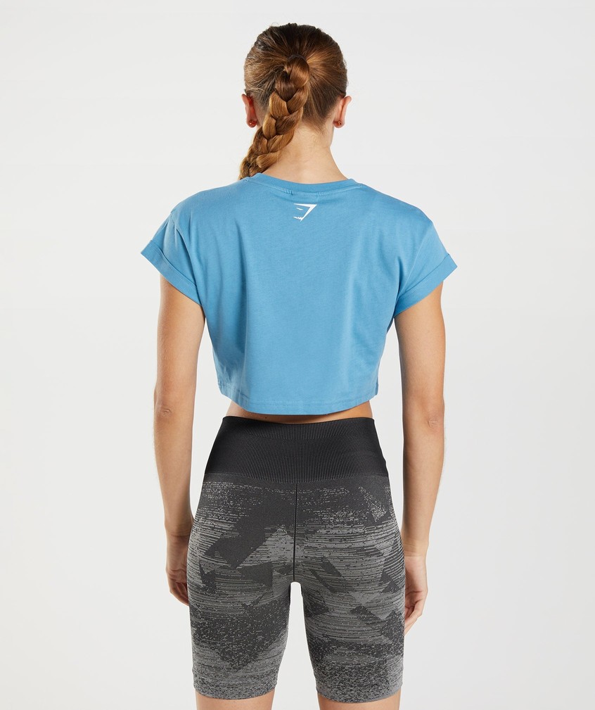 Blue Women's Gymshark Fraction Crop Top T-Shirts | USA-65087