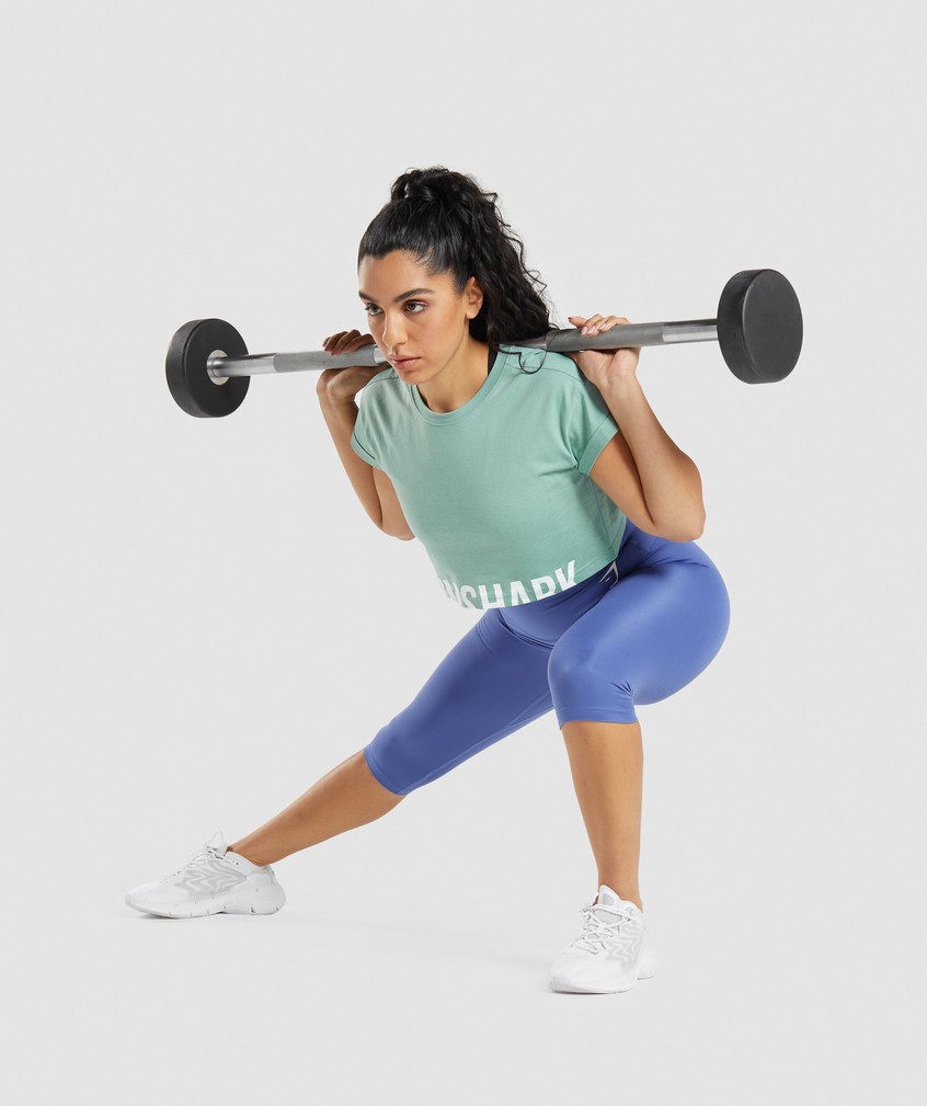 Blue Women's Gymshark Fraction Crop Top T-Shirts | USA-80214