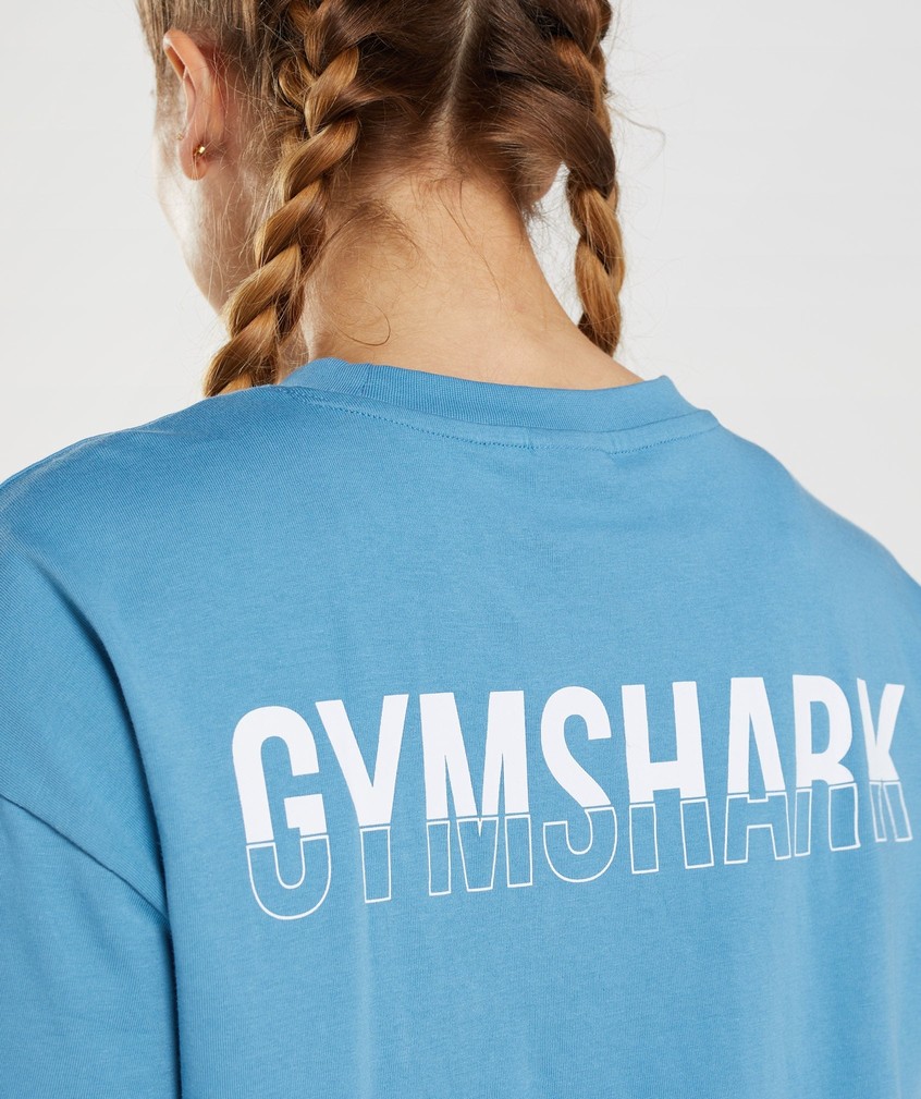 Blue Women's Gymshark Fraction Oversized T-Shirts | USA-17534