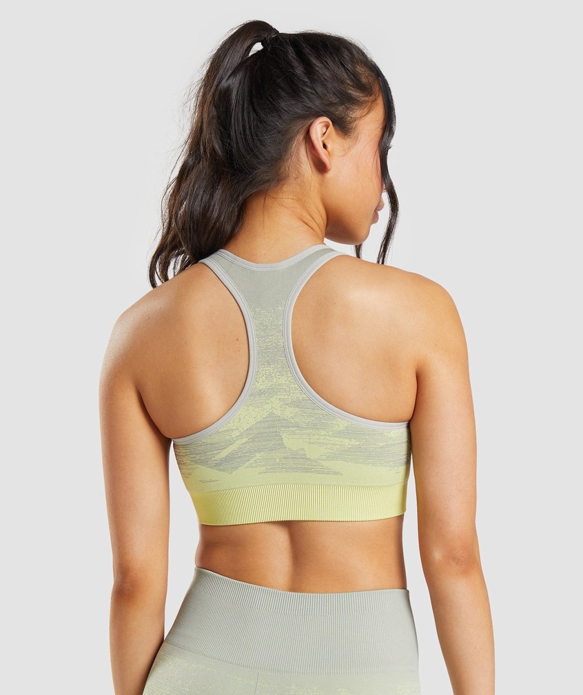 Brown Grey Women's Gymshark Adapt Ombre Seamless Sports Bra | USA-49275