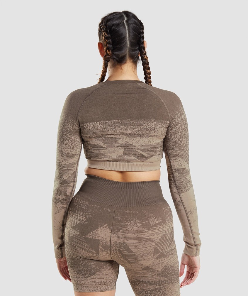 Brown Women's Gymshark Adapt Ombre Crop Top T-Shirts | USA-07856