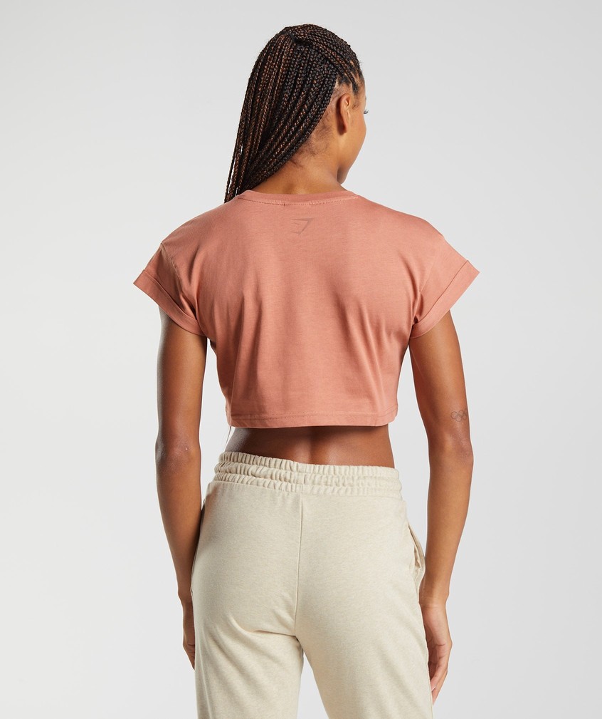 Brown Women's Gymshark Fraction Crop Top T-Shirts | USA-28476