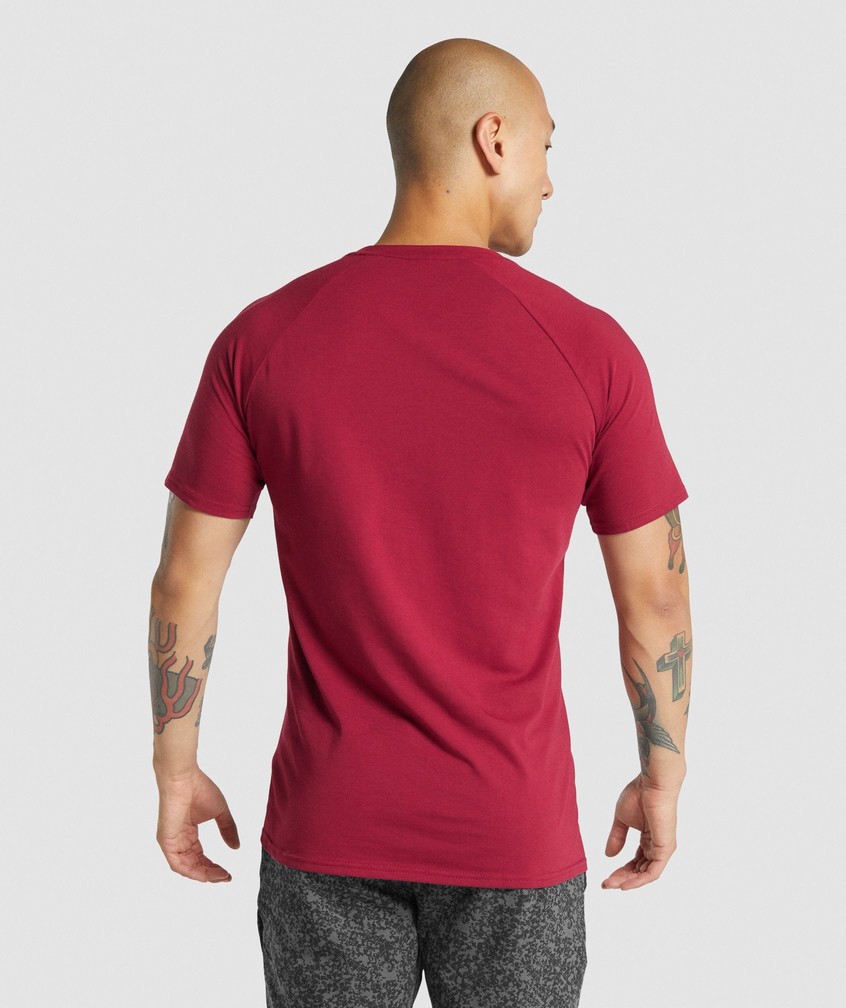 Burgundy Men's Gymshark Critical 2.0 T-Shirts | USA-68104