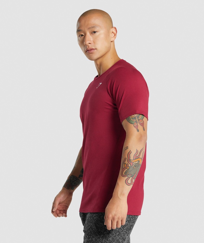 Burgundy Men's Gymshark Critical 2.0 T-Shirts | USA-68104