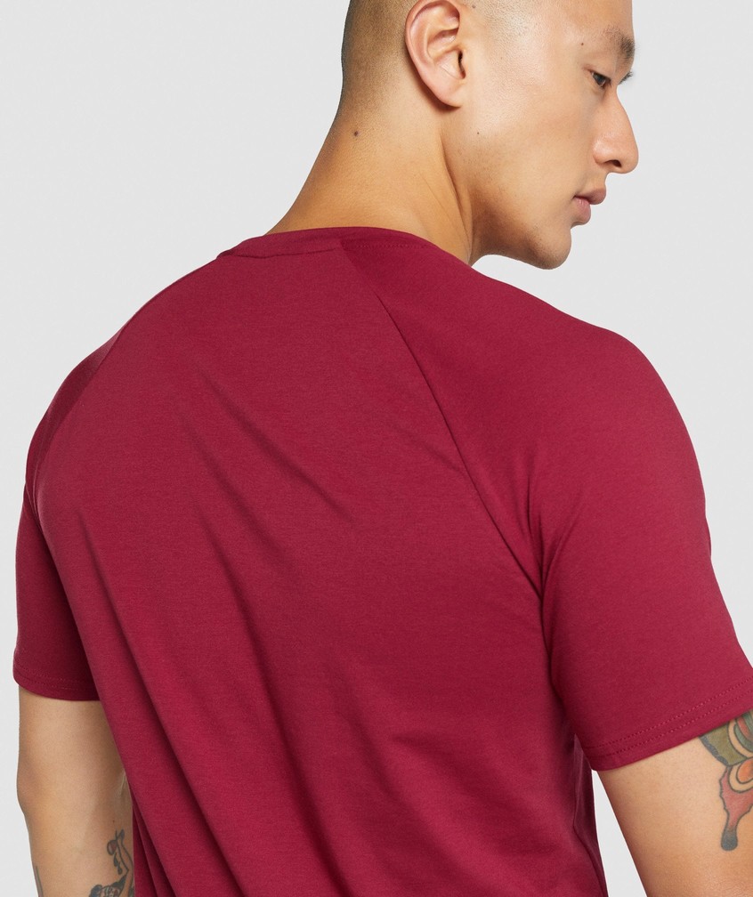 Burgundy Men's Gymshark Critical 2.0 T-Shirts | USA-68104