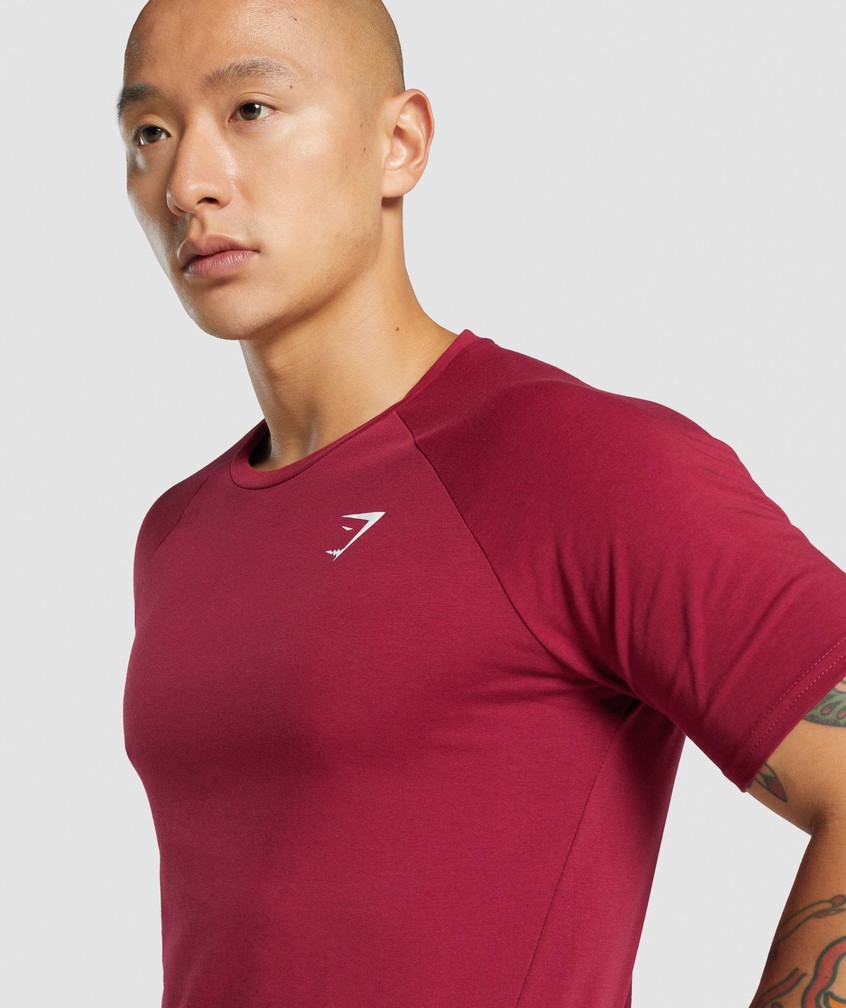 Burgundy Men's Gymshark Critical 2.0 T-Shirts | USA-68104