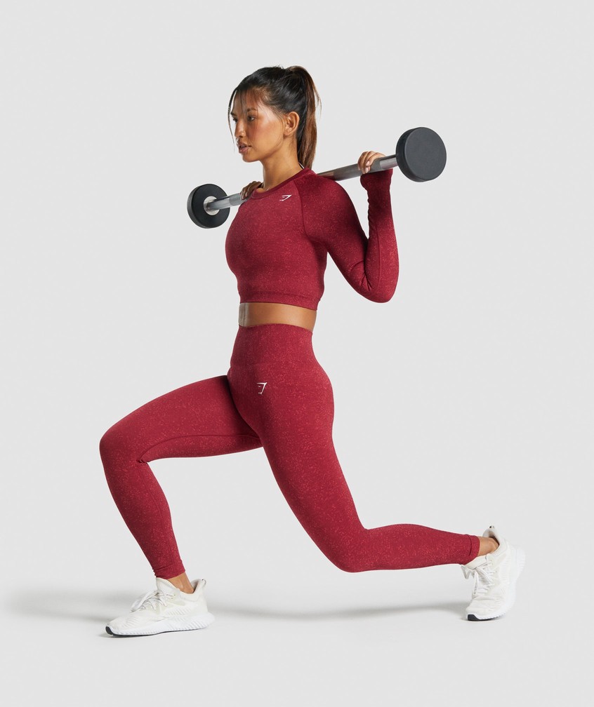 Burgundy Women's Gymshark Adapt Fleck Seamless Long Sleeve Crop Top T-Shirts | USA-14238