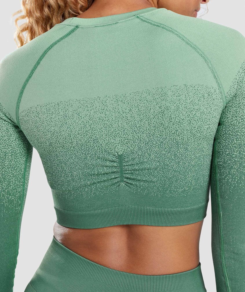 Green / Light Green Women's Gymshark Adapt Ombre Seamless Long Sleeve Crop Top T-Shirts | USA-04615