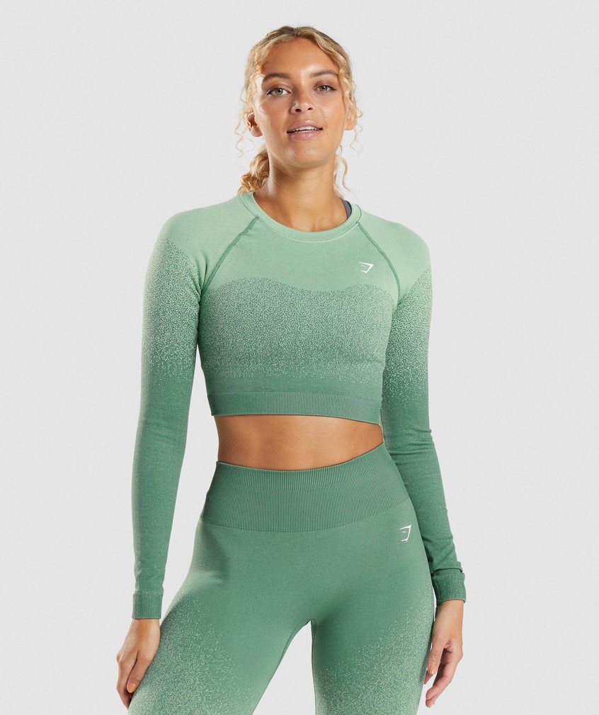 Green / Light Green Women\'s Gymshark Adapt Ombre Seamless Long Sleeve Crop Top T-Shirts | USA-04615