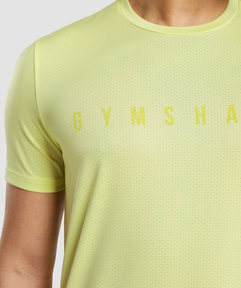 Green Men's Gymshark Sport Stripe T-Shirts | USA-82405