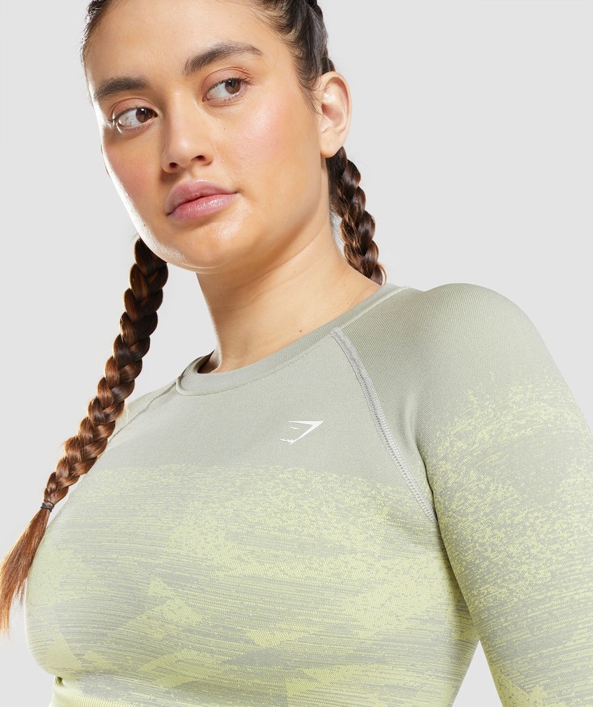 Grey Brown Grey Women's Gymshark Adapt Ombre Crop Top T-Shirts | USA-01745