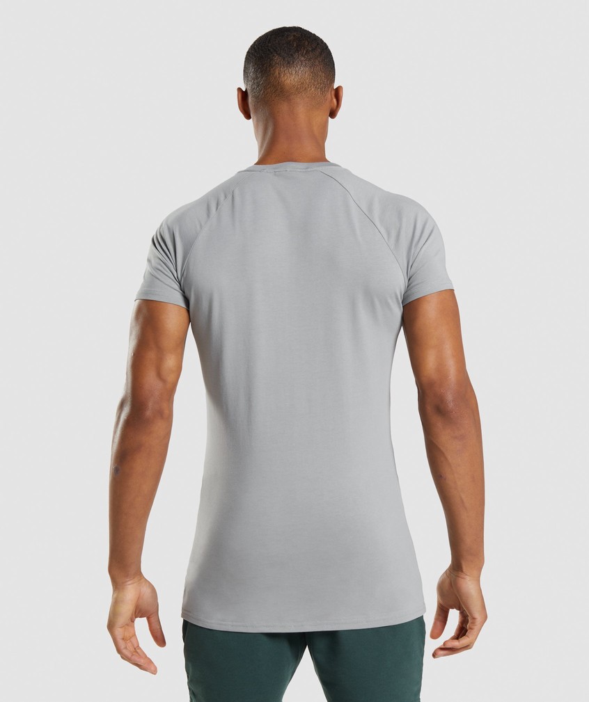 Grey Men's Gymshark Apollo T-Shirts | USA-75360