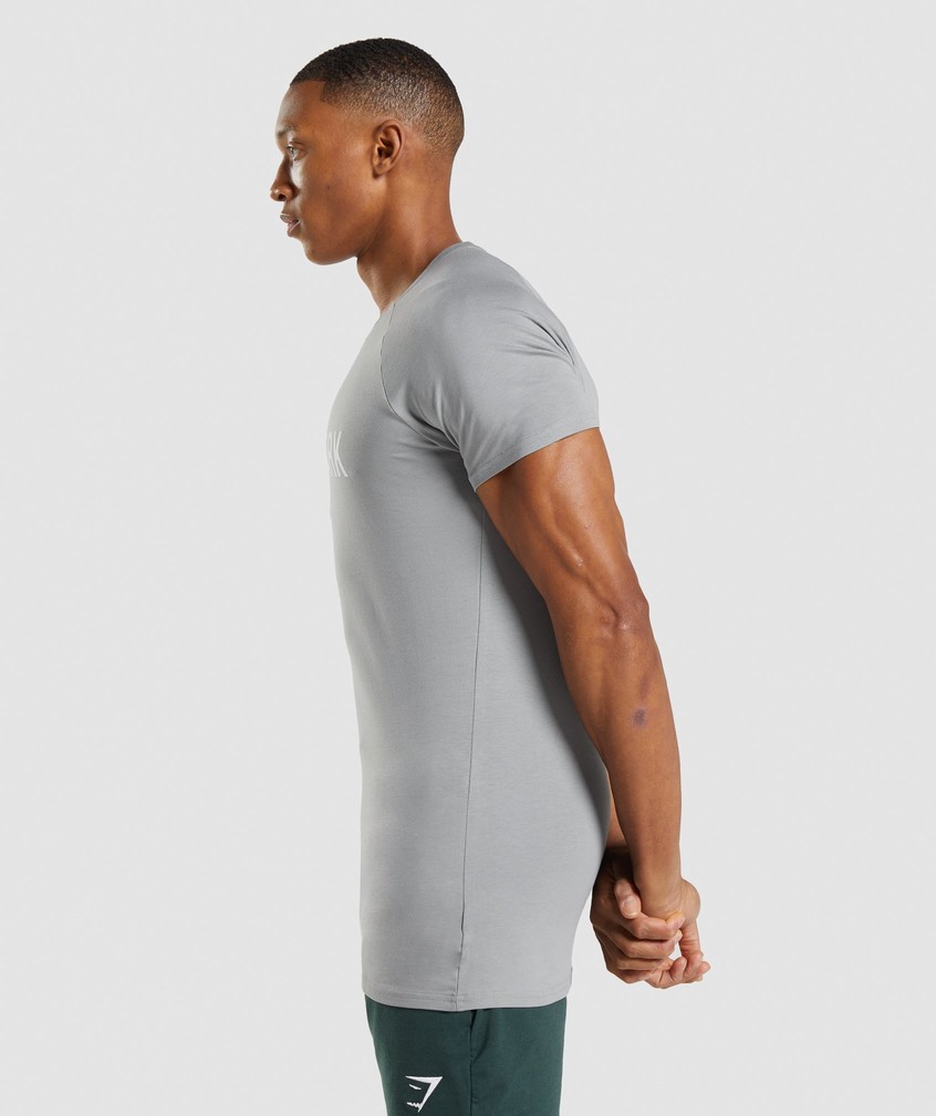 Grey Men's Gymshark Apollo T-Shirts | USA-75360