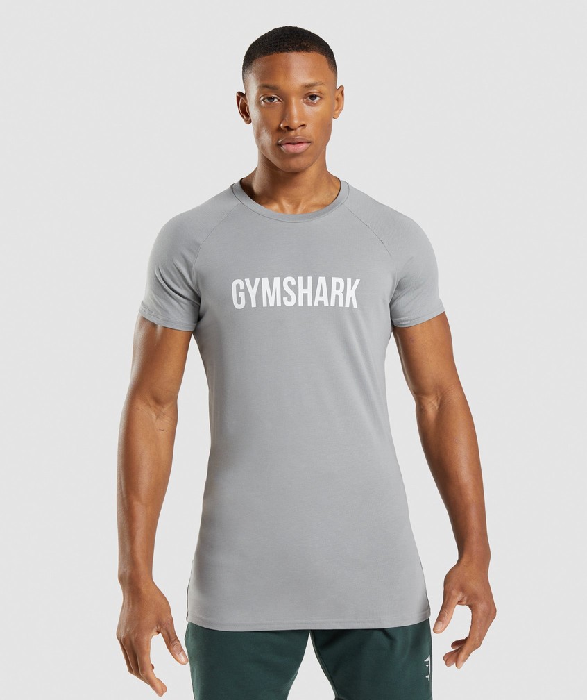 Grey Men\'s Gymshark Apollo T-Shirts | USA-75360