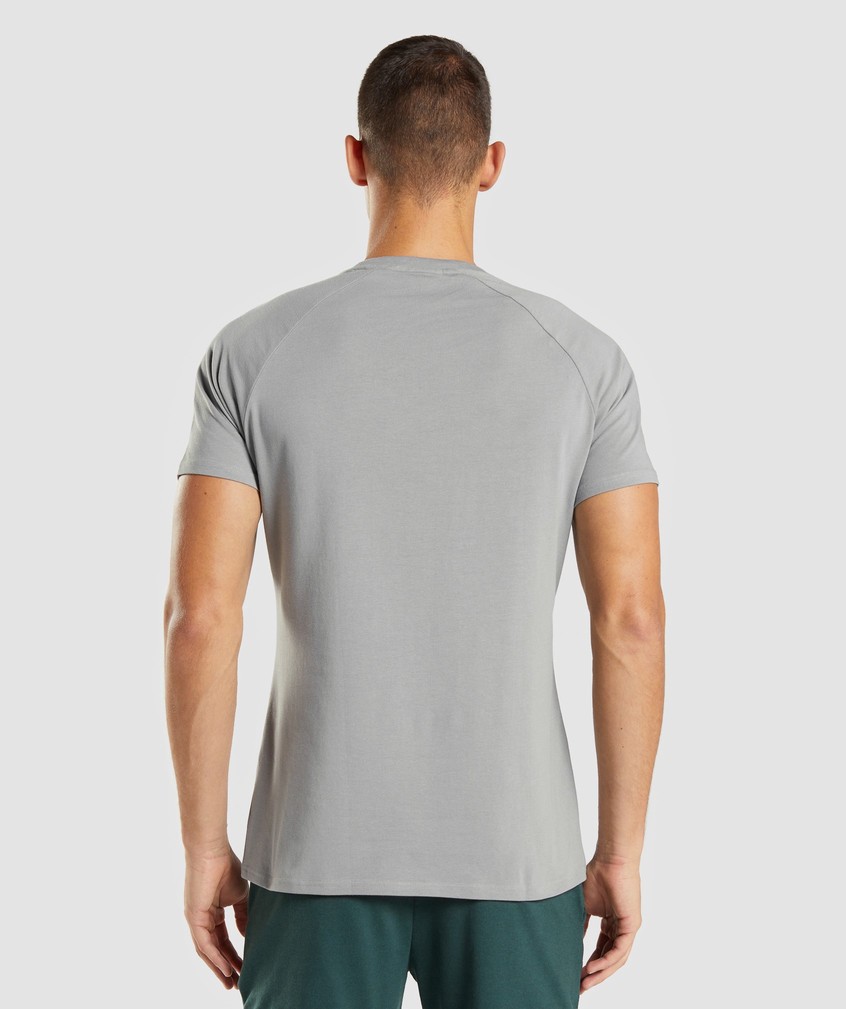 Grey Men's Gymshark Apollo T-Shirts | USA-98042