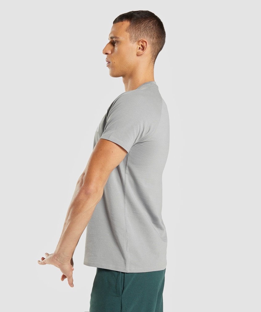 Grey Men's Gymshark Apollo T-Shirts | USA-98042