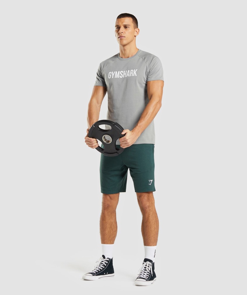 Grey Men's Gymshark Apollo T-Shirts | USA-98042