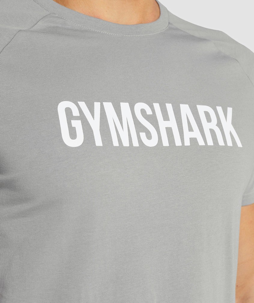 Grey Men's Gymshark Apollo T-Shirts | USA-98042