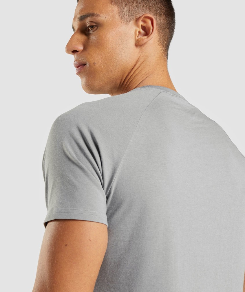 Grey Men's Gymshark Apollo T-Shirts | USA-98042