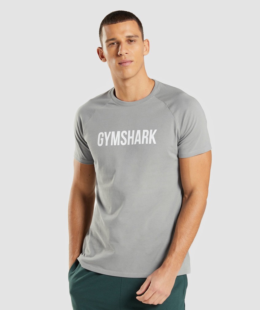 Grey Men\'s Gymshark Apollo T-Shirts | USA-98042