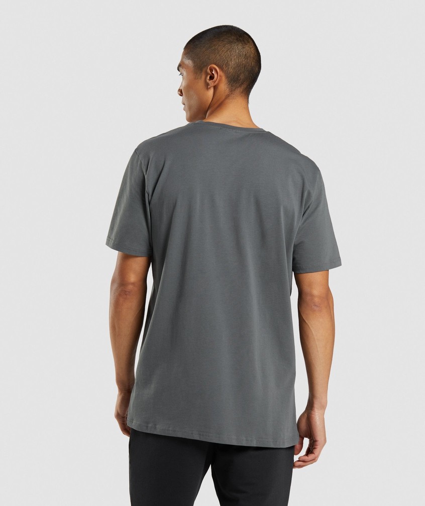 Grey Men's Gymshark Sharkhead Infill T-Shirts | USA-53927