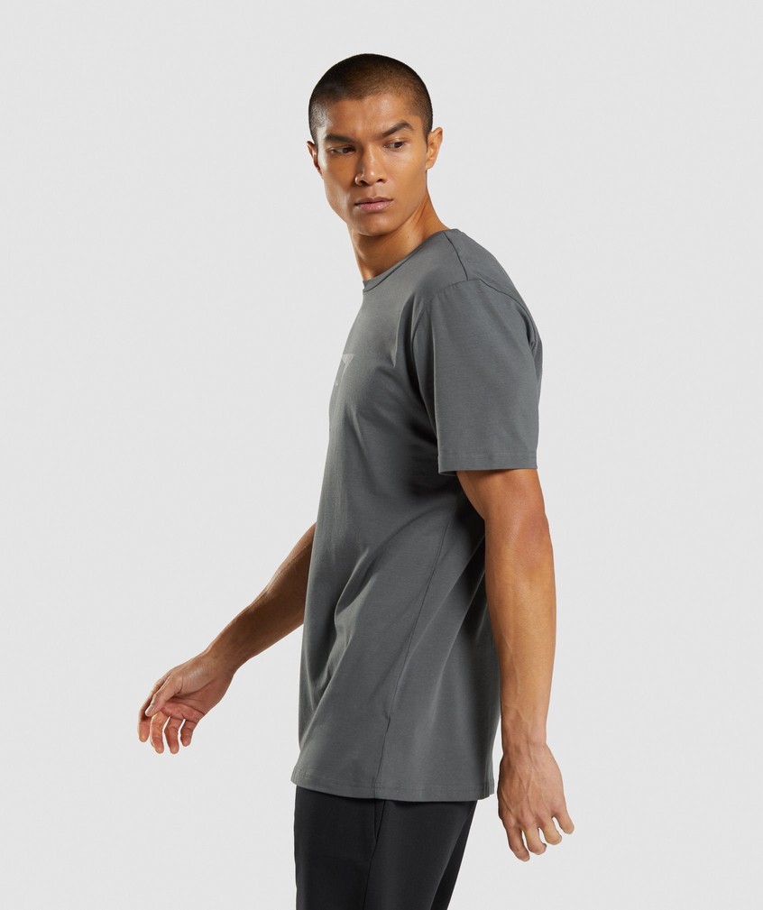 Grey Men's Gymshark Sharkhead Infill T-Shirts | USA-53927