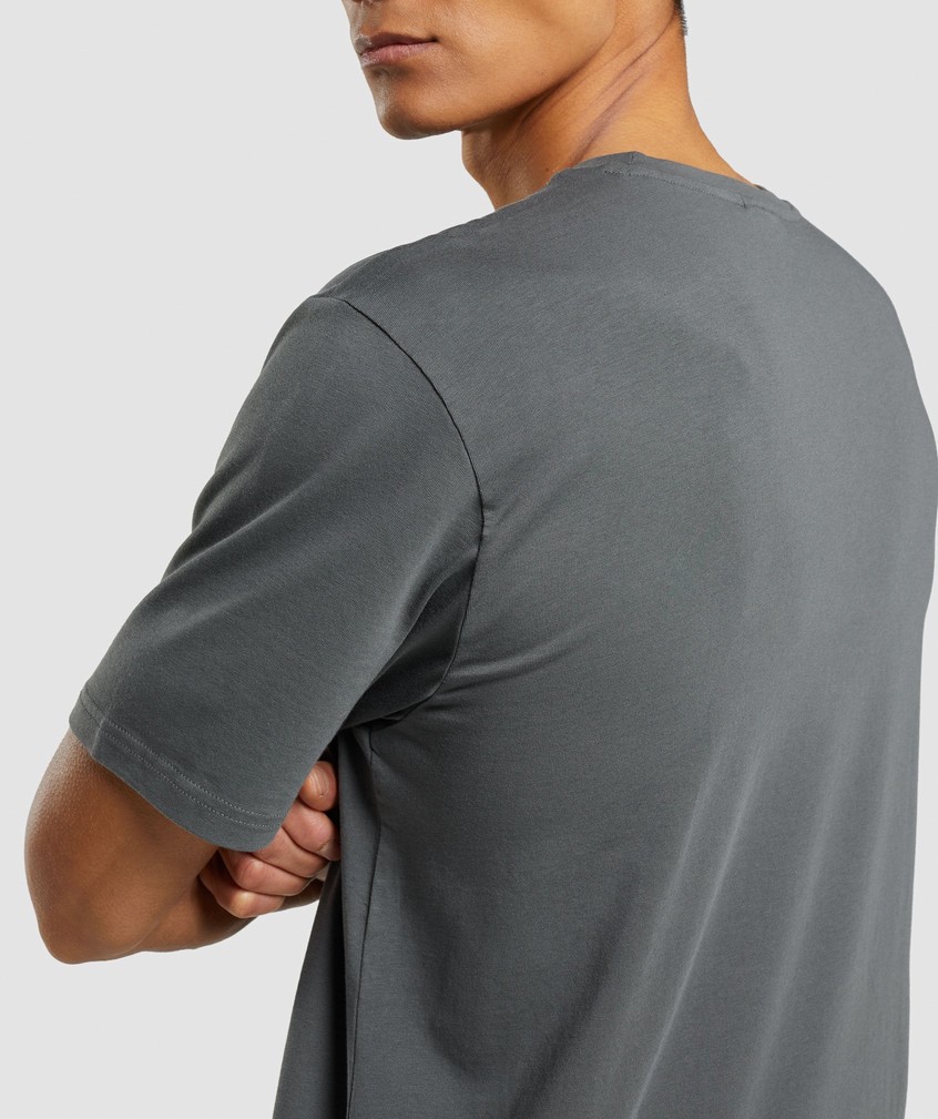 Grey Men's Gymshark Sharkhead Infill T-Shirts | USA-53927