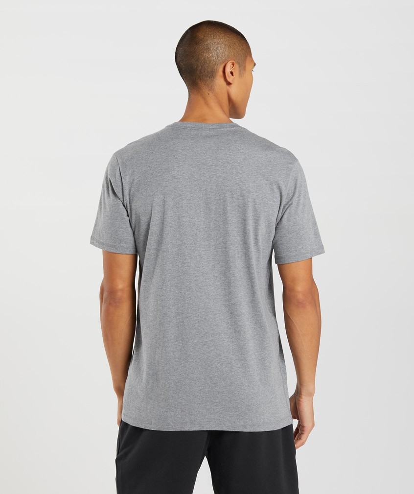 Grey Men's Gymshark Sharkhead Infill T-Shirts | USA-98651